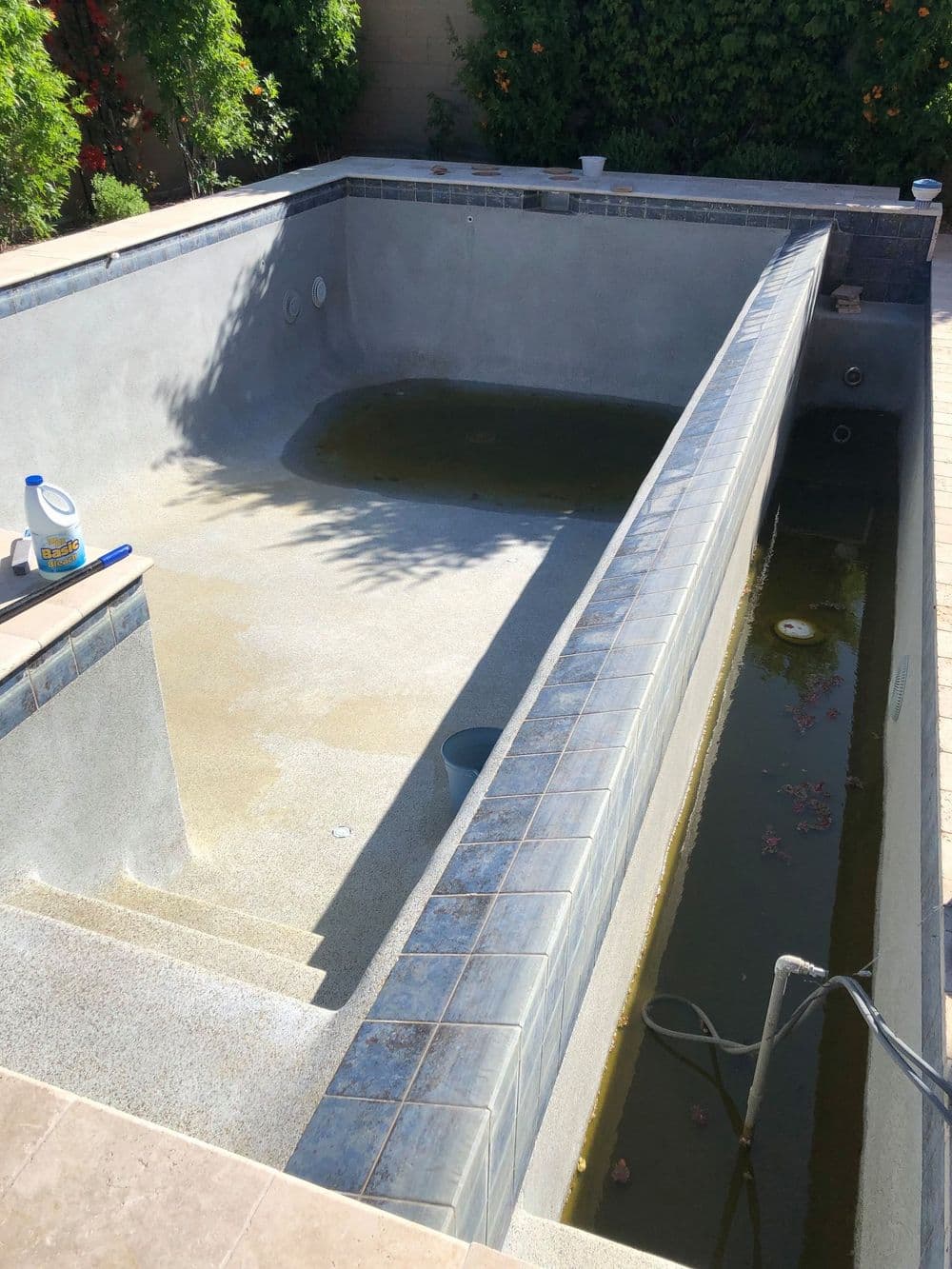 Empty swimming pool with green water and dirt, showing steps and surrounding greenery.